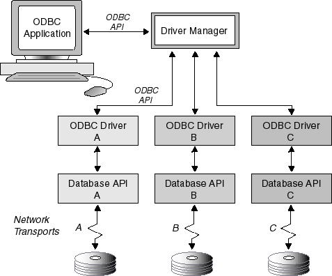 ODBC in hindi